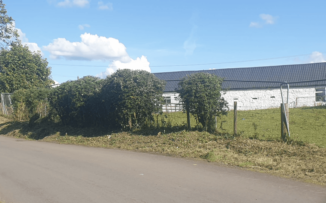 Fencing installation and repairs in Airdrie