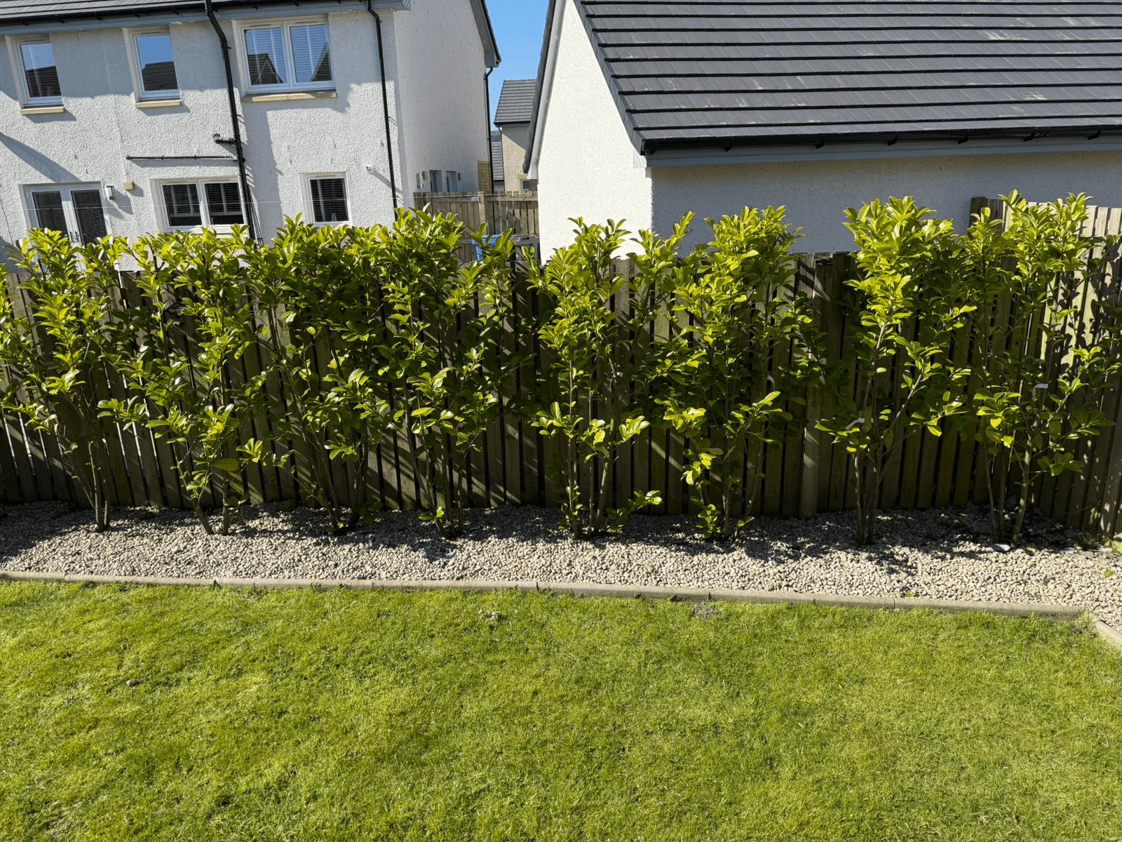 Landscaping services in Airdrie