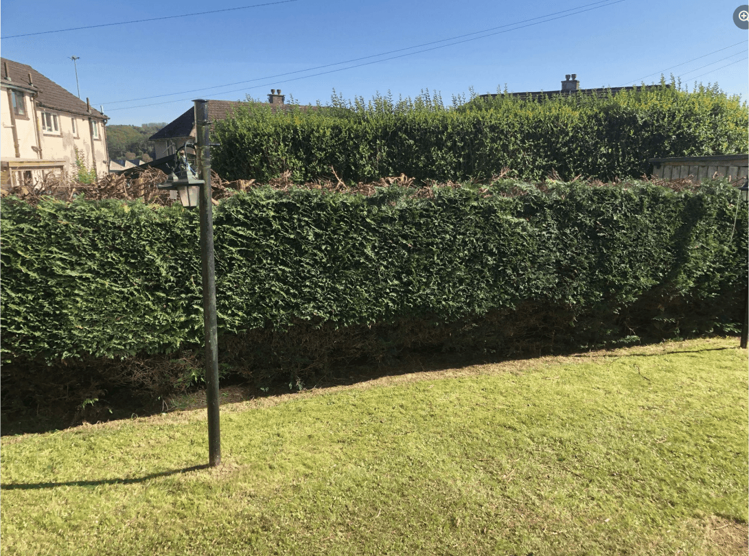 Garden services in Coatbridge