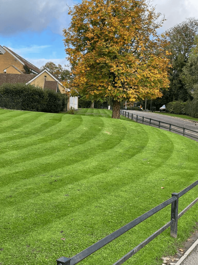 Garden services in Coatbridge