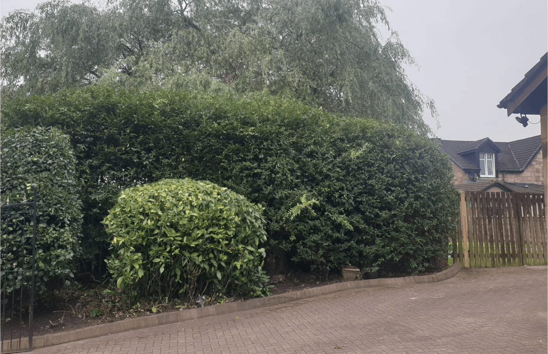 Garden services in Coatbridge
