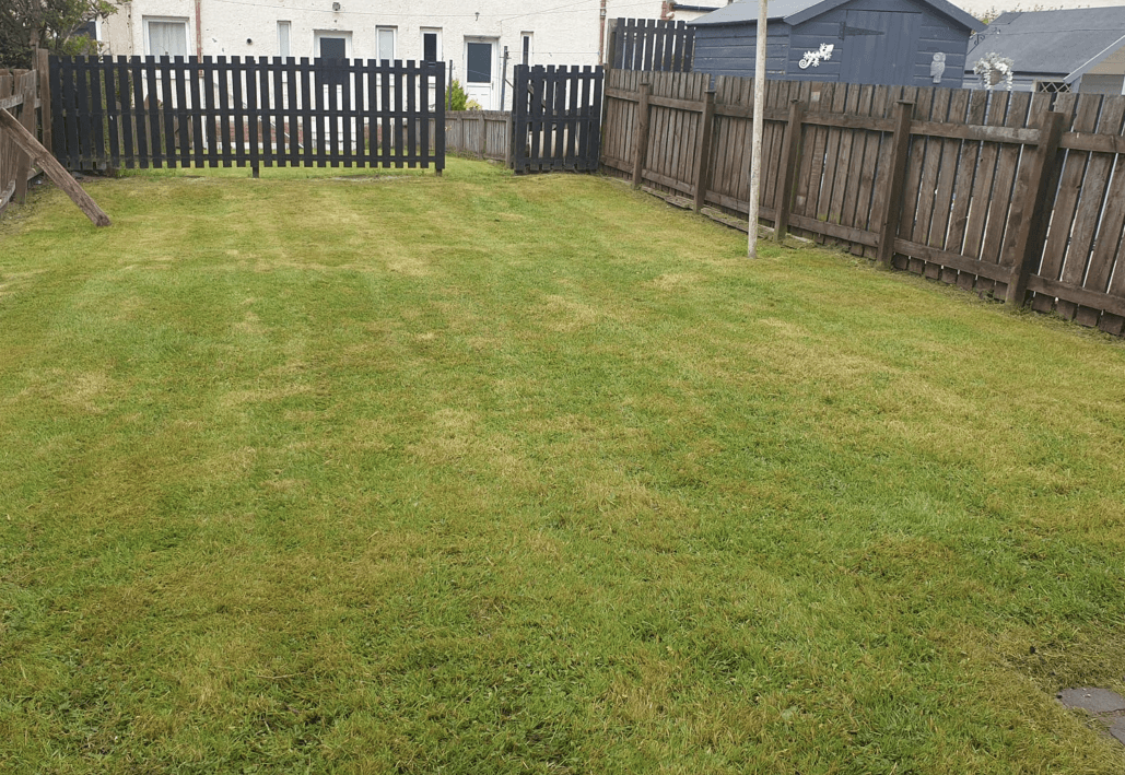 Garden services in Coatbridge