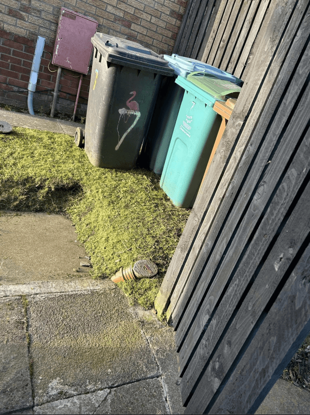 Garden tidy up services in Airdrie