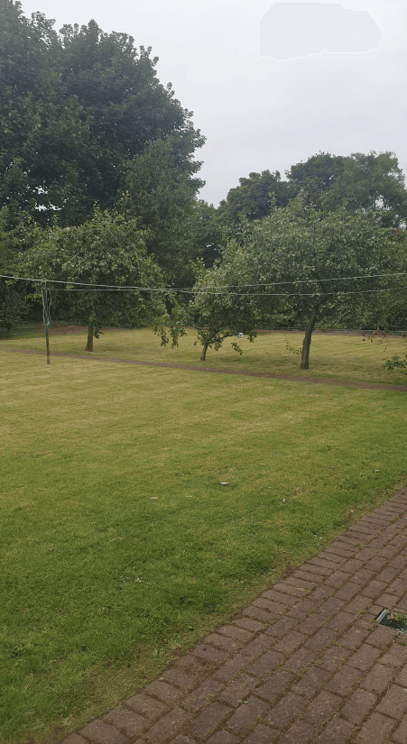Garden tidy up services in Airdrie