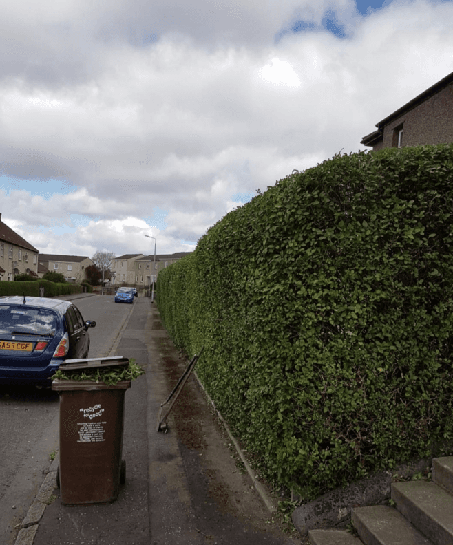 Garden tidy up services in Airdrie