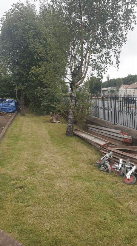 Tree surgery services in Airdrie