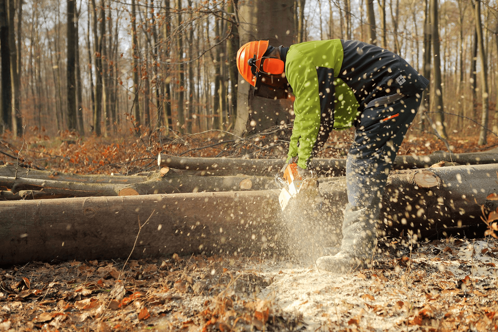 Tree Services Coatbridge