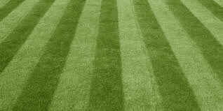 Turfing Coatbridge
